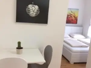 1,5 Zimmer Appartement