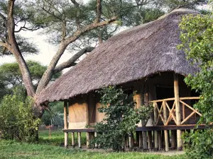 Mbali Mbali Tarangire River Camp