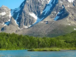 Lyngen