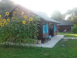 Dom na Starym Gościńcu Tiszyna