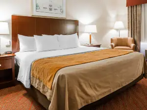Comfort Inn & Suites Kelso - Longview