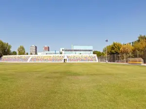 Premium Wellness Institute