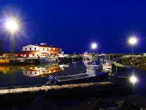 Hôtel-Motel Vagues Vertes