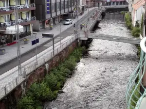 Wildbed De