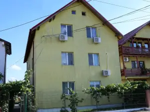 Casa Iustina Sulina