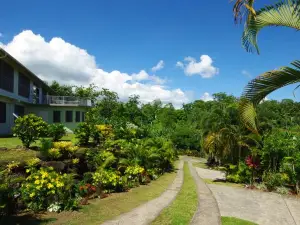 Samoan Highland Hideaway