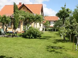 Vila 1956