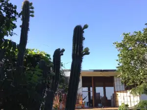 Welcoming Vibes