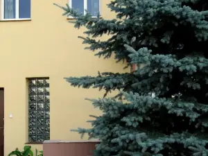 Apartamenty Stajni Jazon Malbork