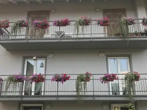 Nenez B&B