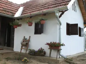 Farmica, Bed&Breakfast, Bazen Izdvojen Nekoliko Minuta Hoda
