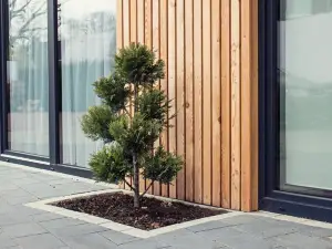 The Townhouse Apartment