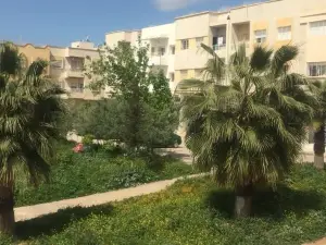 Esc Apartments
