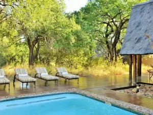 Black Rhino Game Lodge