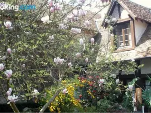 L'Auberge du Faisan Doré