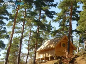 Hôtel Lodge du Lac Chambon