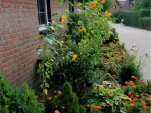 Bed and Breakfast am Schwatten Berg