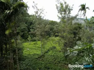Aelam Gardens