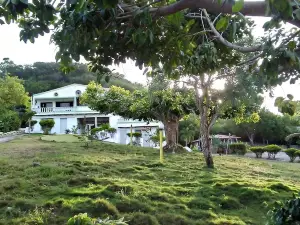 Villa Alfonsina