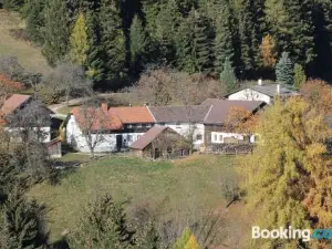 Miniferienwohnung für Unkompliziertes Naturliebhaberpärchen