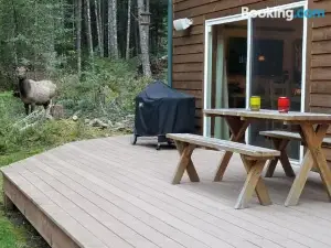 Cozy Studio Apartment