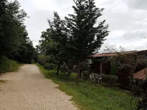 Agriturismo Cisogna