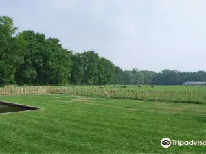 B&B de Dulle Koe