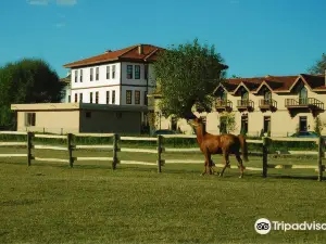 伊克西爾度假城