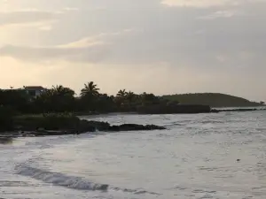 Silver Sands Sea Lili