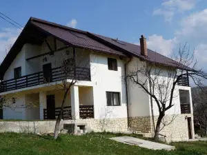 Casa Paltinu