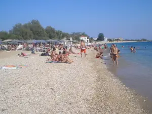 Apollon (ex. Albatros)