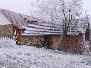 Holiday Home U Černých Ovcí