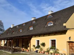 Dvur Olsiny -Hotel and Horse-Riding