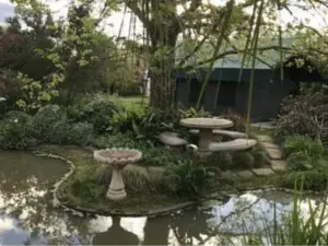 Sanctuary Guest & Adventure Farm