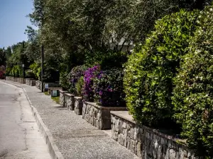 Oliveto A Mare - Suite & Apartment