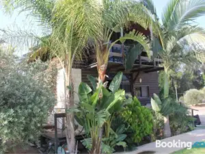 Bustan HaZait