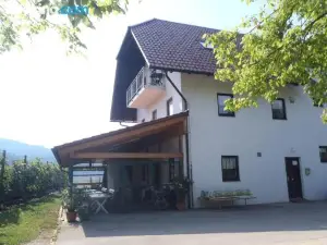 Ribiški Dom Radeče