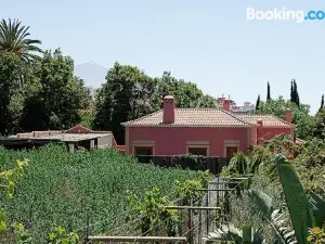 Nice House in Large Avocado Garden, Tenerife North