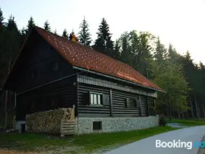 Brunarica Petric - Bela Krajina - Komarna Vas - Smučišče Gače - Semič