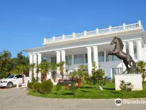 Queen Vali Palace