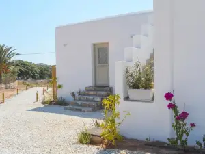 Notos Studios