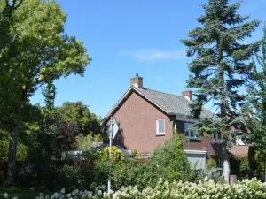 B & B Boezeneren