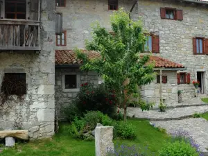 Holiday Farmhouse Skvor