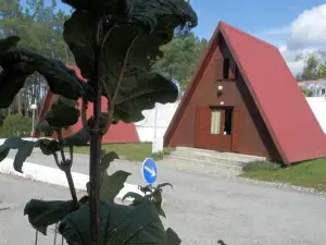 Parque de Campismo de Luso