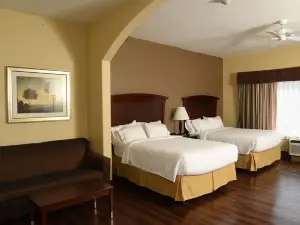 Holiday Inn Express & Suites Seguin