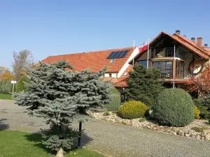 Podkowa Modliszów