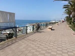 B&B Volì Club