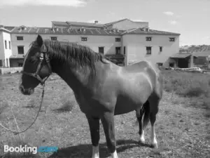 Casa Rural La Era