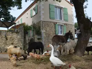 La Ferme des Vergnes