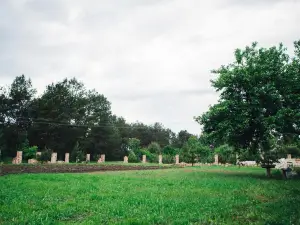 Agrousadba Zakazanka